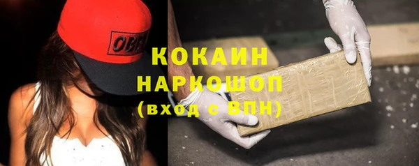 стаф Арсеньев