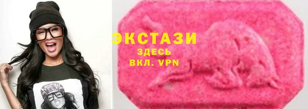 стаф Арсеньев