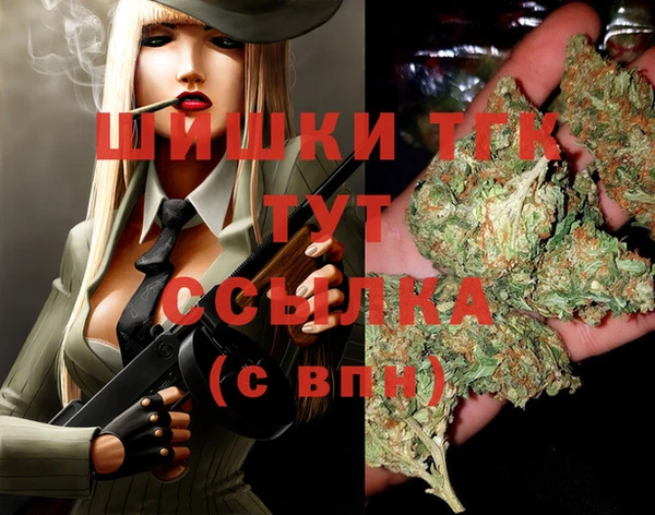 стаф Арсеньев