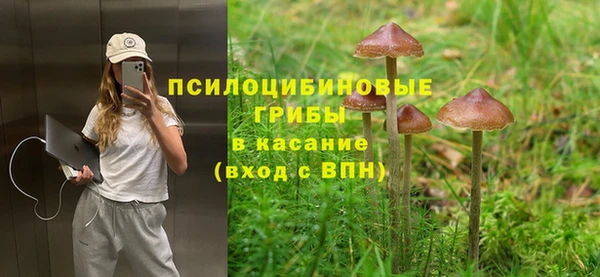 дмт Аркадак