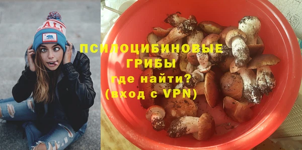 дмт Аркадак
