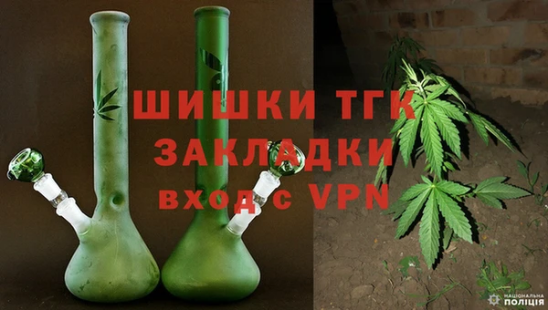 стаф Арсеньев
