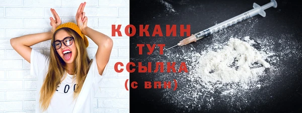стаф Арсеньев