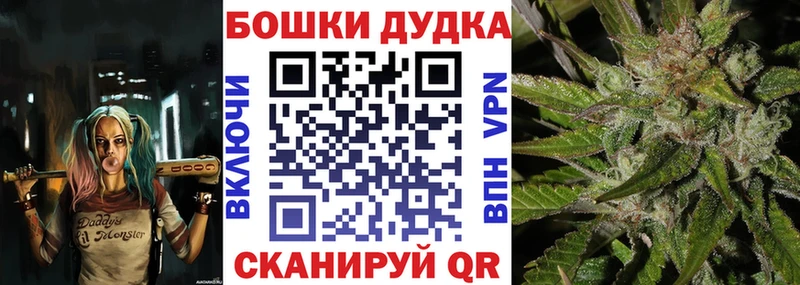 закладка Снежногорск Конопля семена